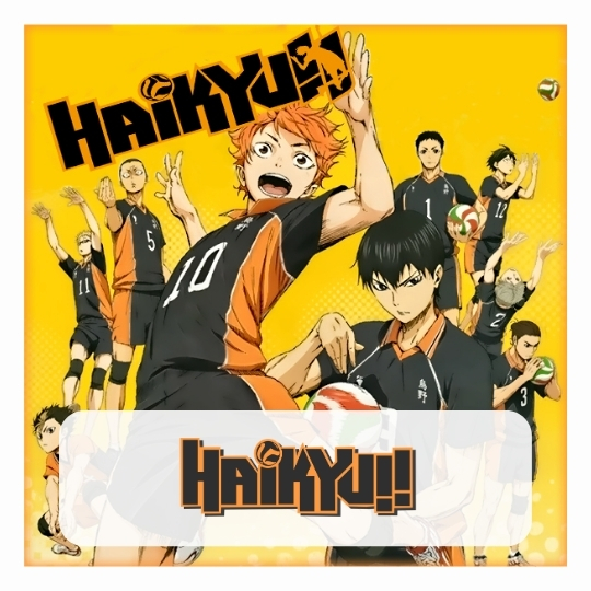 Haikyuu merch - Anime Underwear